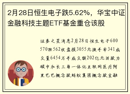 2月28日恒生电子跌5.62%，华宝中证金融科技主题ETF基金重仓该股