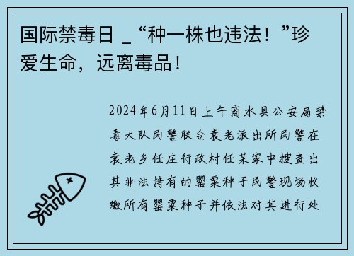 国际禁毒日 _ “种一株也违法！”珍爱生命，远离毒品！