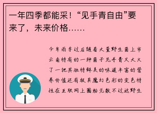 一年四季都能采！“见手青自由”要来了，未来价格……